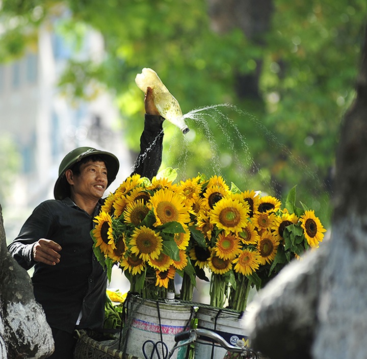 Autumn in Hanoi - 9