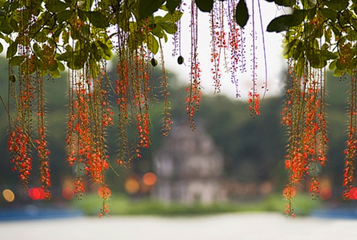 Autumn in Hanoi - 12