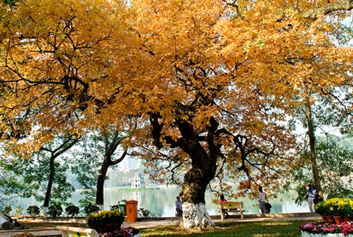 Autumn in Hanoi - 5