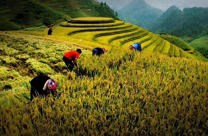 Vietnam Heritage Photo Awards 2017 launched in HCM City - 1