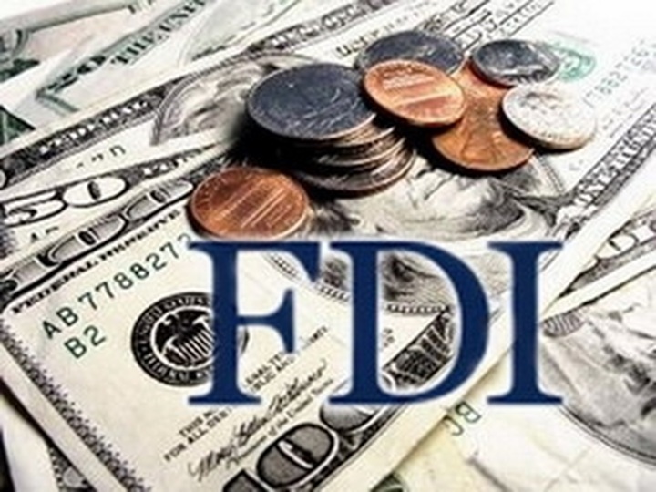 January sees 37 FDI projects licensed - 1