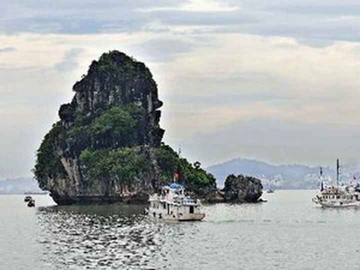 Authorities reinforce management of bays - 1