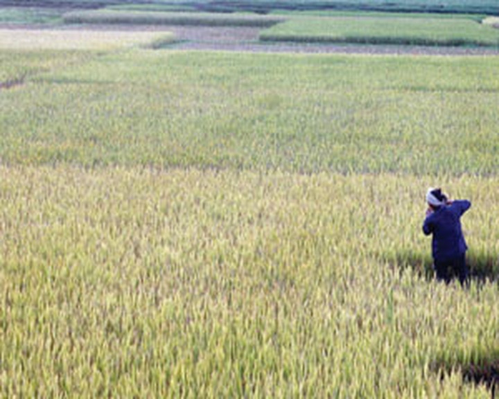 20pct reduction in greenhouse gas emissions to be targeted - 1