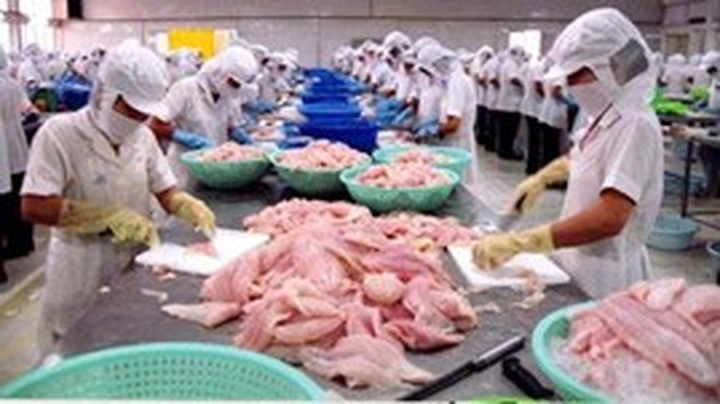 Fisheries Livelihoods Programme under review - 1