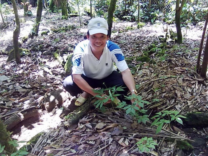 Vietnam promotes Ngoc Linh ginseng as a national brand - 1