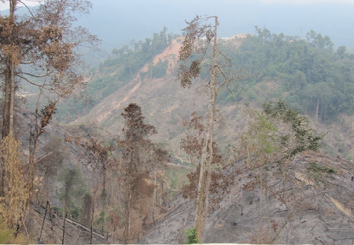 Record high temperatures in Vietnam - 5