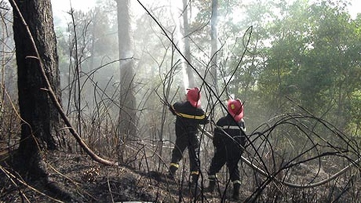 Student photo contest illustrates environmental threats - 10