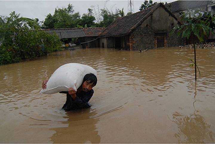 Student photo contest illustrates environmental threats - 11