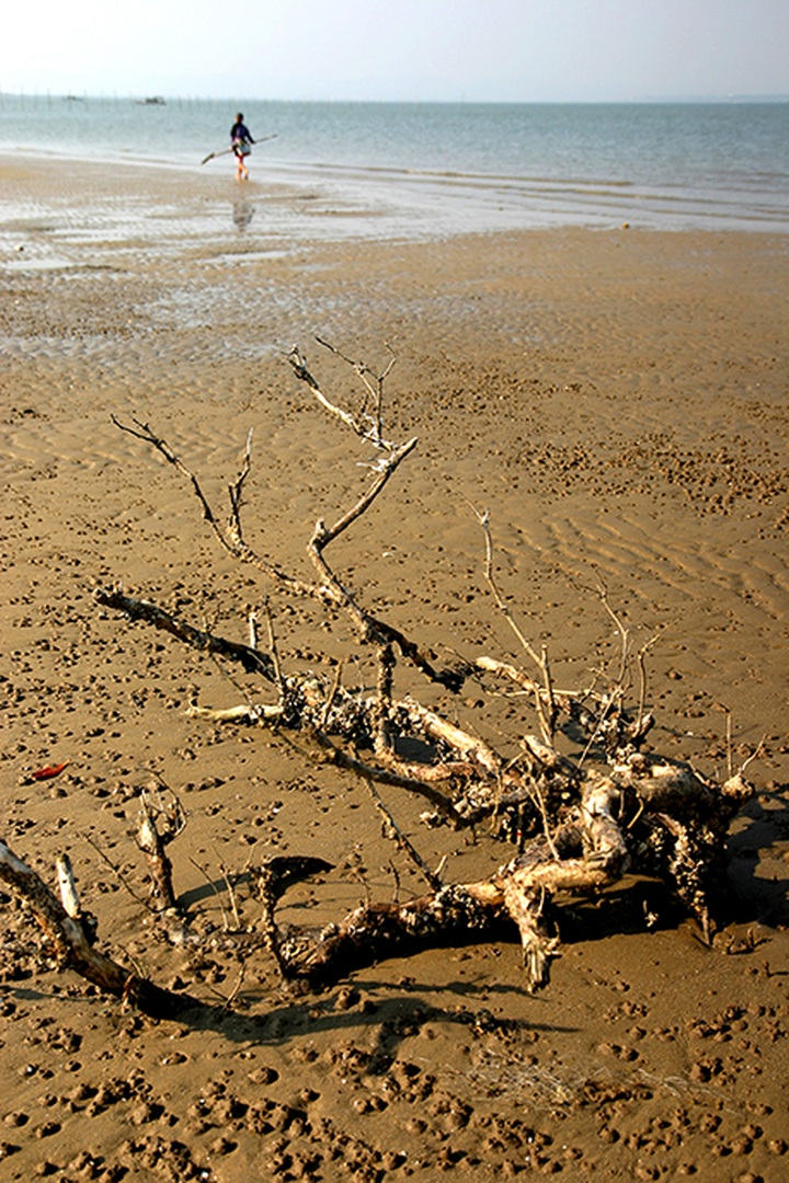 Student photo contest illustrates environmental threats - 4