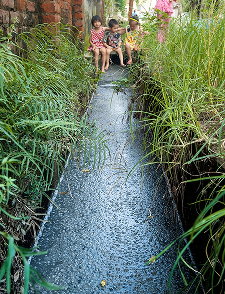 Student photo contest illustrates environmental threats - 6