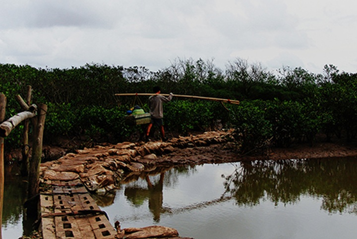 Student photo contest illustrates environmental threats - 8