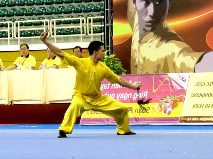 Vietnam ranks third at wushu champs - 1