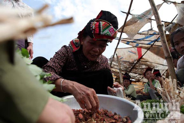 Six-legged delicacies from the Northwest - 6 Six-legged delicacies from the Northwest - 6