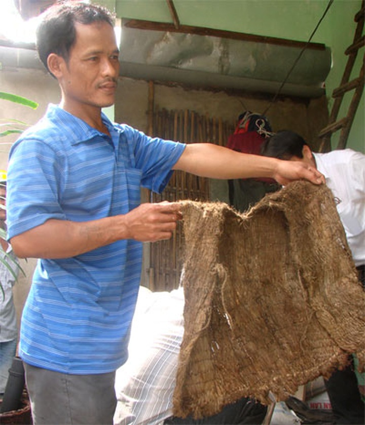 "Forest men" refuse modern life - 2