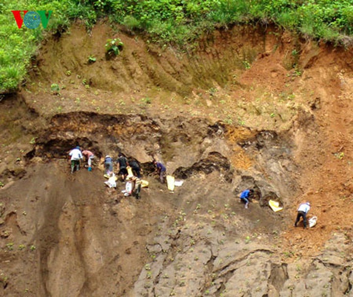 Rare earth minerals illegally stripped in Lai Chau - 3