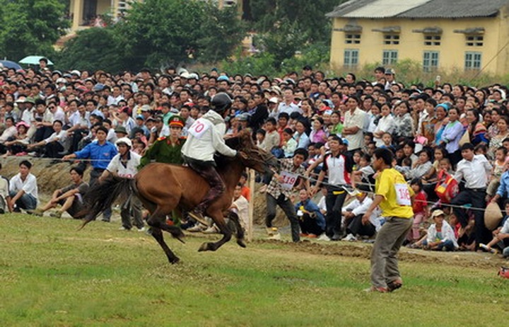 Horse race festival stirs up Bac Ha District - 4 Horse race festival stirs up Bac Ha District - 4