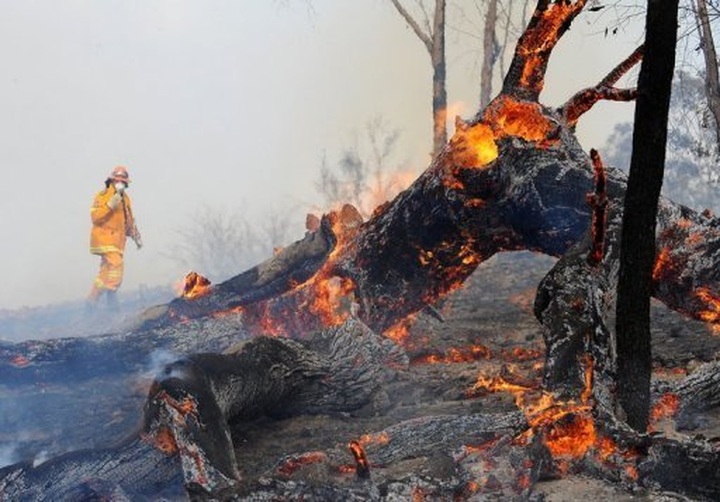 Thousands flee wildfires in southern Australia - 1
