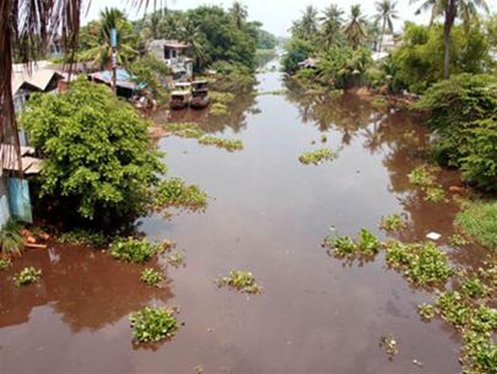 Five city factories fined for pollution - 1