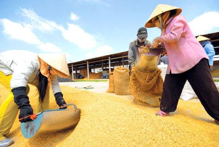 Expert tells why farmers do not enjoy fruits of their labour - 1 Expert tells why farmers do not enjoy fruits of their labour - 1