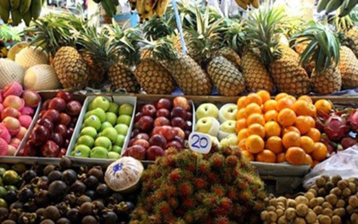 Vietnamese agriculture improves quality for exports - 1