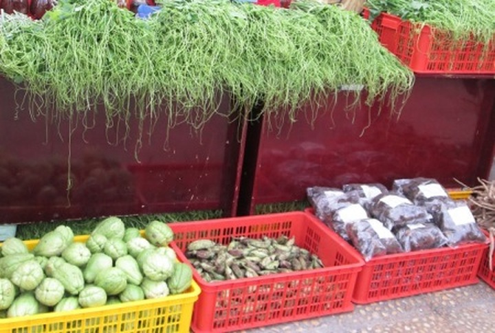 Vietnam opens International Agriculture Trade Fair 2013 - 2