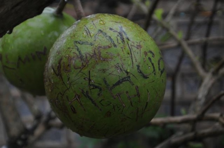 Lax security causes chaos at a festival - 11