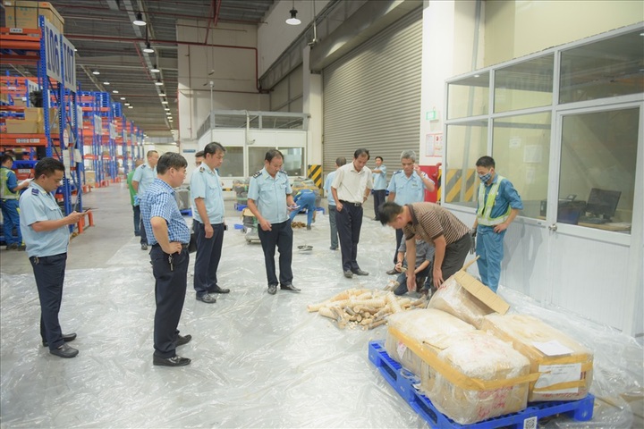 Huge ivory and pangolin scale shipment seized at Noi Bai - 6