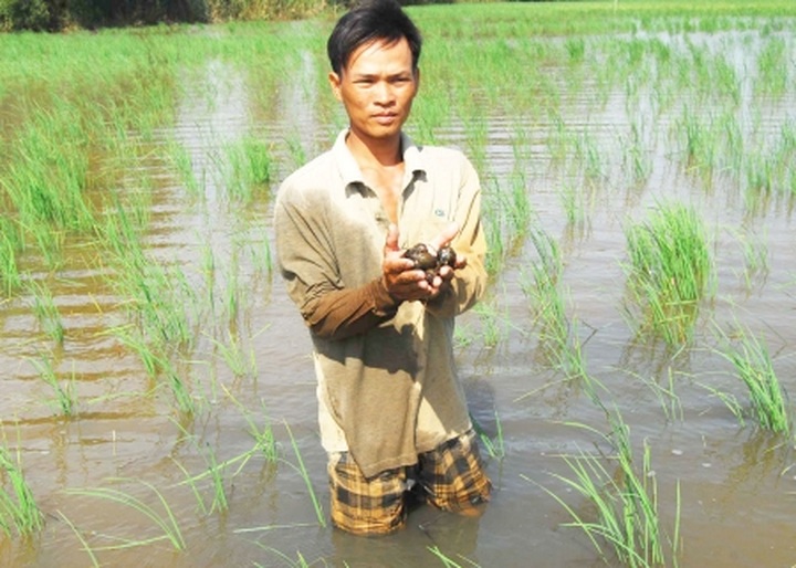 PM plants seeds for flora import restrictions move - 1