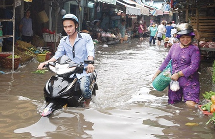 HCM City plans end to flooding - 1