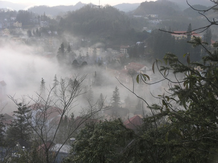 Cold spell threatens Sapa livestock - 1