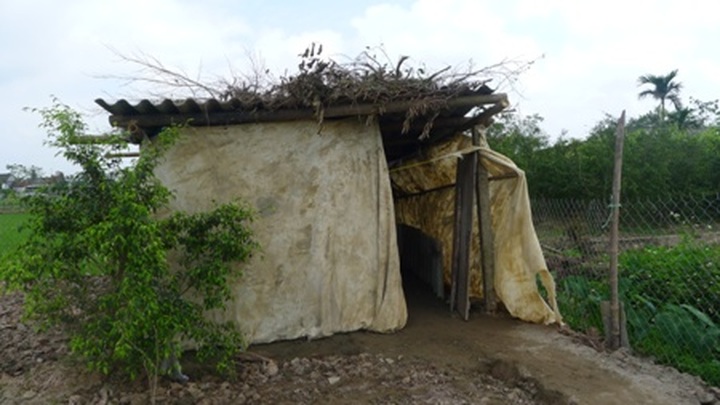 Poor and single woman struggling with serious diseases - 2