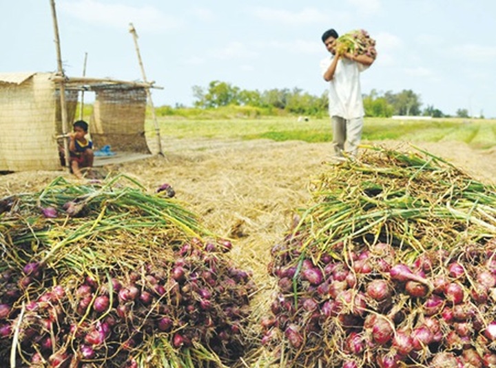 NA urges change to agricultural sector - 1