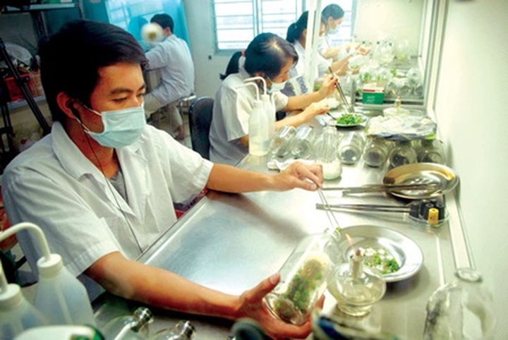 Overseas Vietnamese join economic talks - 1