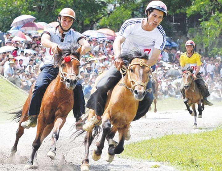 NA committee ponders racing, betting proposal - 1