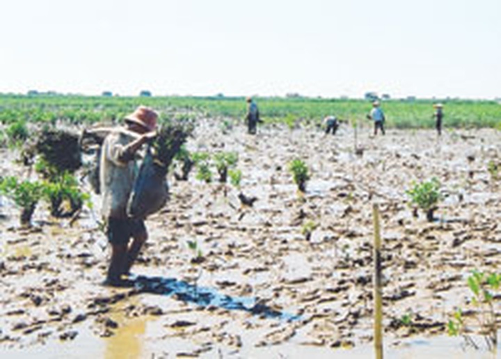 Nation joins in celebration of World Environment Day - 1