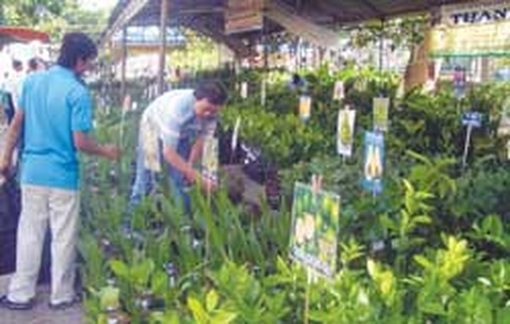 Agricultural expo spotlights safe produce - 1 Agricultural expo spotlights safe produce - 1