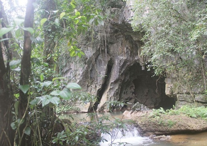 New massive cave discovered in central Vietnam national park - 1