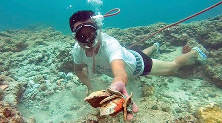 Ancient ceramics found at sea - 1