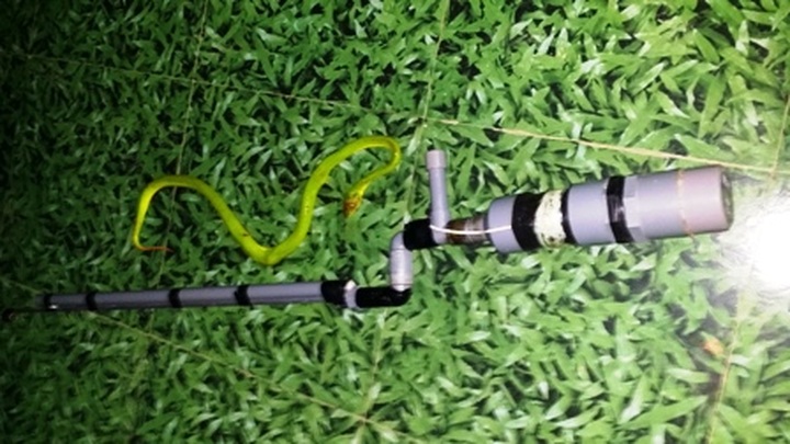 Invasive species worries people in Nghe An - 1