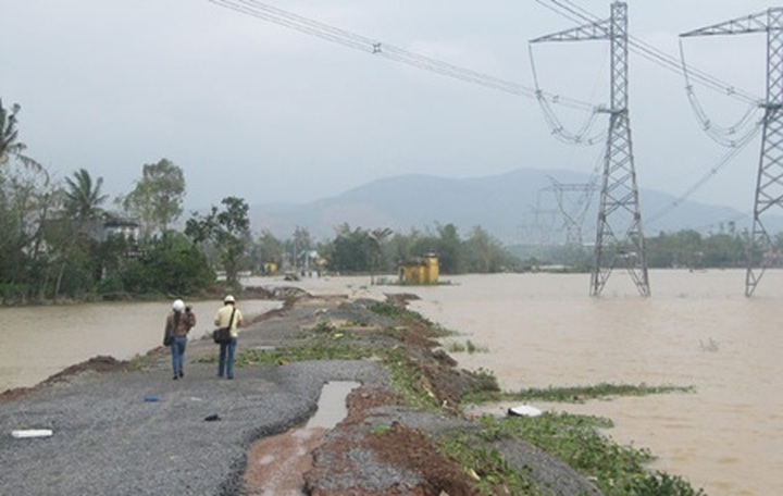 Ministry prioritises afforestation projects - 1