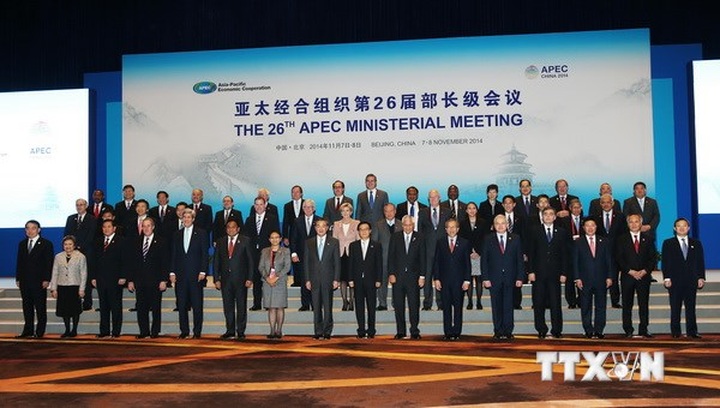 Vietnam vows continued support for APEC to strengthen regional links - 1