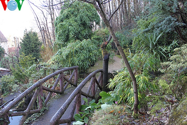 Vietnamese pray for good luck in France - 2
