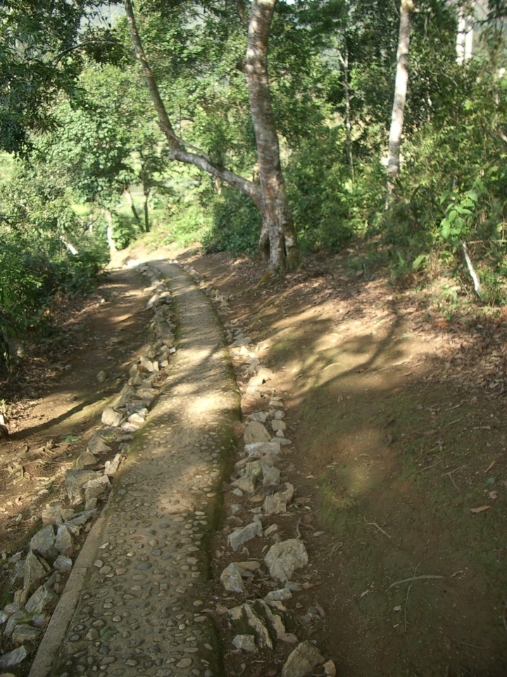 Songs of Dien Bien Phu: Dragging artillery across mountain ranges - 2
