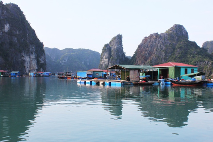 Ha Long relocates houseboat dwellers - 1