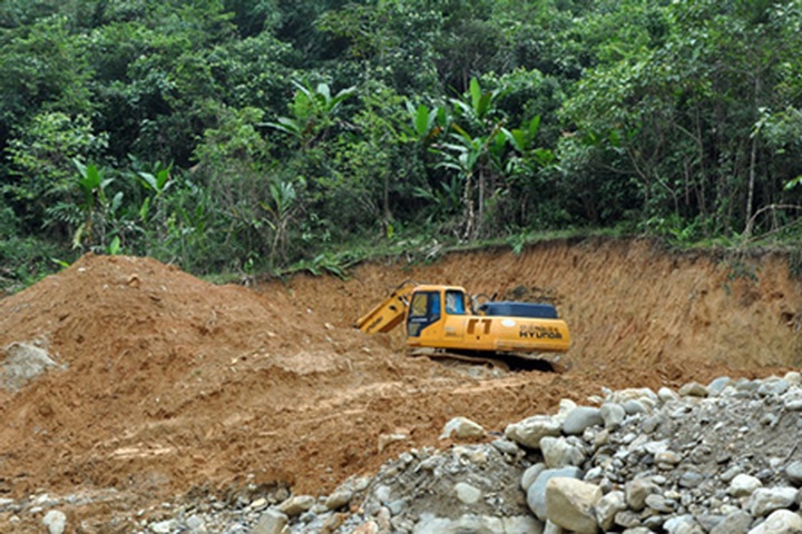 Illegal road fosters illicit logging in Quang Ngai - 2