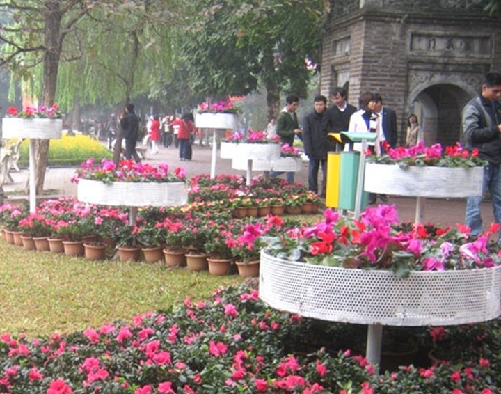 Hanoi to hold New Year flower street festival - 1