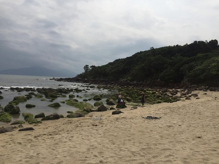 Danang residents protest coastal tourism project - 2