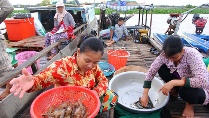 Mekong Delta during the flood season - 4