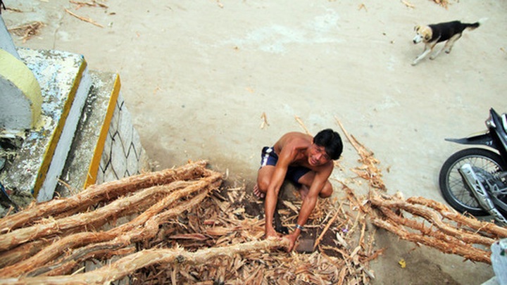 Mekong Delta during the flood season - 11
