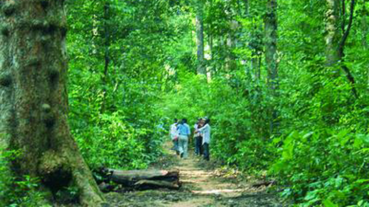 Phu Quoc National Park - 3